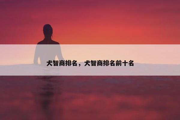 犬智商排名，犬智商排名前十名