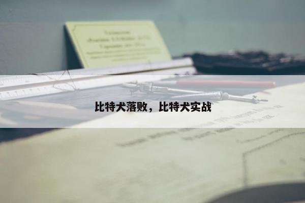 比特犬落败，比特犬实战