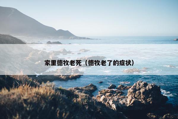 家里德牧老死（德牧老了的症状）
