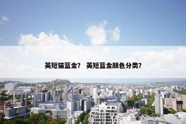 英短猫蓝金？ 英短蓝金颜色分类？