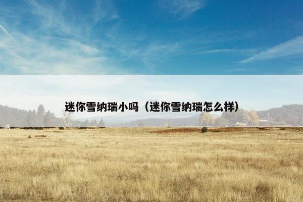 迷你雪纳瑞小吗（迷你雪纳瑞怎么样）