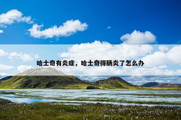 哈士奇有炎症，哈士奇得肠炎了怎么办
