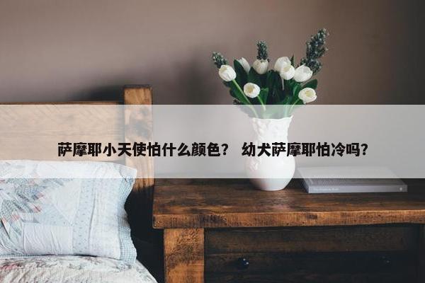 萨摩耶小天使怕什么颜色？ 幼犬萨摩耶怕冷吗？