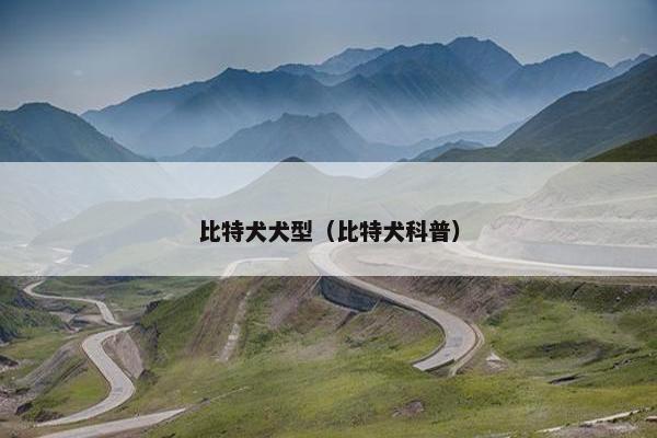比特犬犬型（比特犬科普）