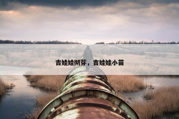 吉娃娃彻芽，吉娃娃小苗