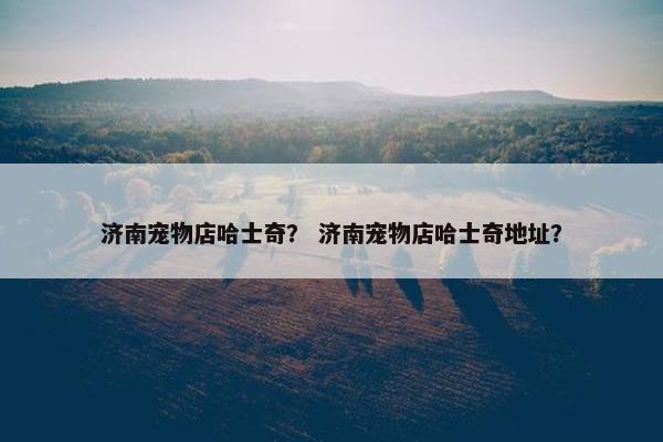 济南宠物店哈士奇？ 济南宠物店哈士奇地址？