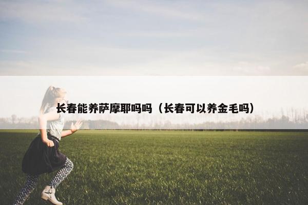 长春能养萨摩耶吗吗（长春可以养金毛吗）