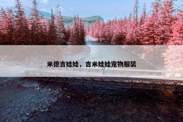 米德吉娃娃，吉米娃娃宠物服装