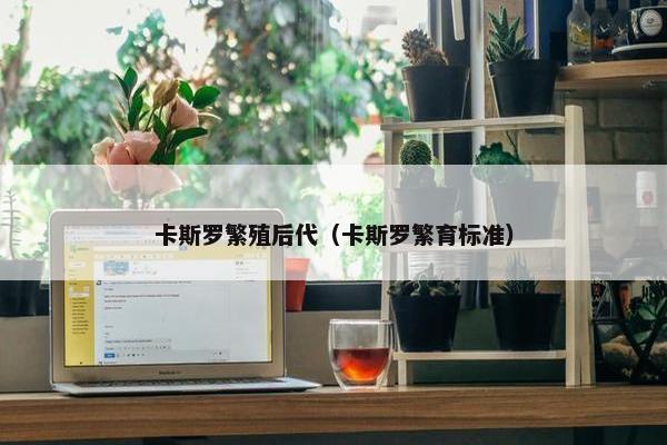 卡斯罗繁殖后代（卡斯罗繁育标准）