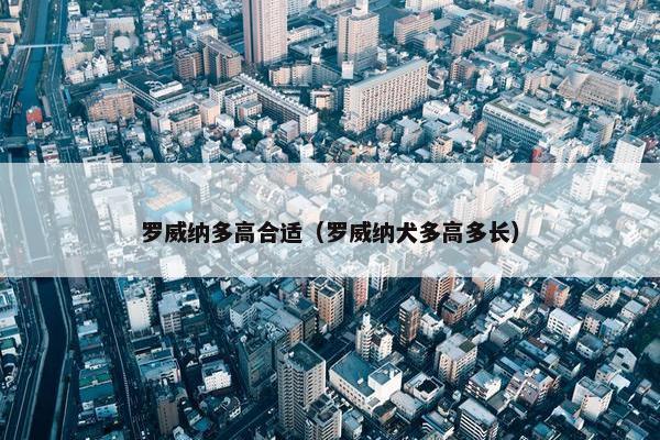 罗威纳多高合适（罗威纳犬多高多长）