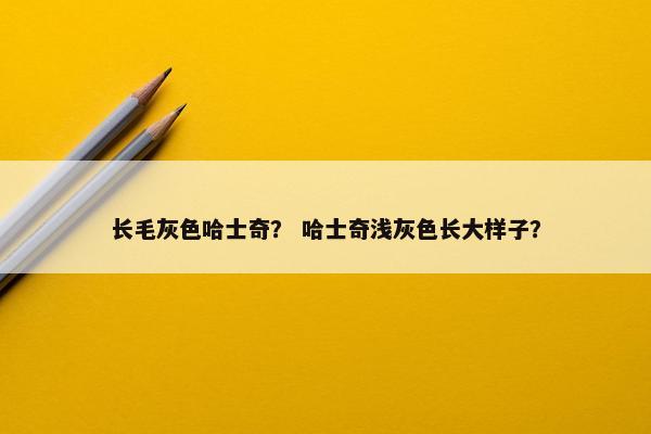 长毛灰色哈士奇？ 哈士奇浅灰色长大样子？