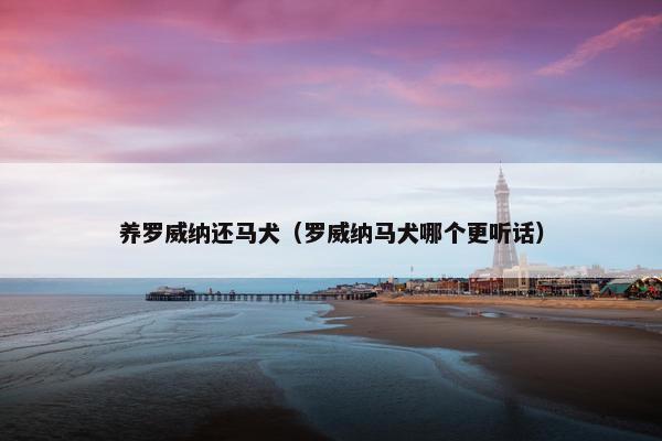 养罗威纳还马犬（罗威纳马犬哪个更听话）