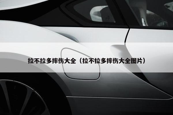 拉不拉多摔伤大全（拉不拉多摔伤大全图片）
