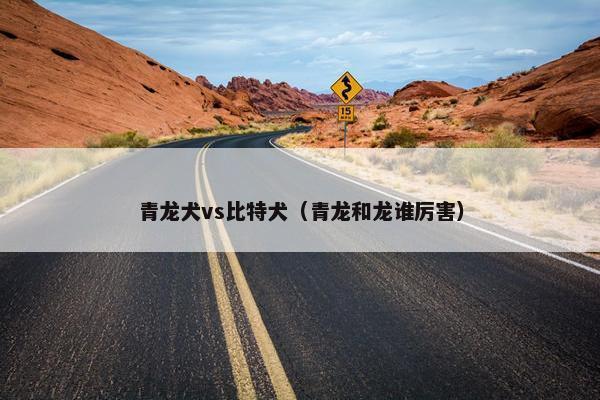 青龙犬vs比特犬（青龙和龙谁厉害）
