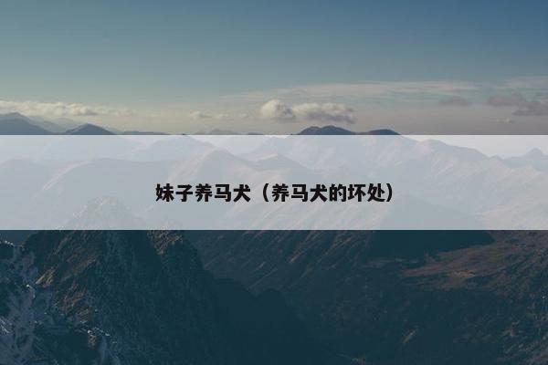 妹子养马犬（养马犬的坏处）
