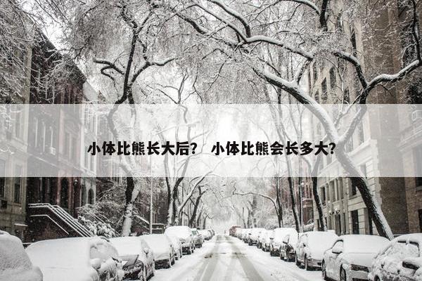 小体比熊长大后？ 小体比熊会长多大？