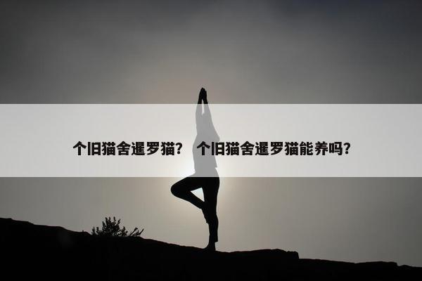 个旧猫舍暹罗猫？ 个旧猫舍暹罗猫能养吗？