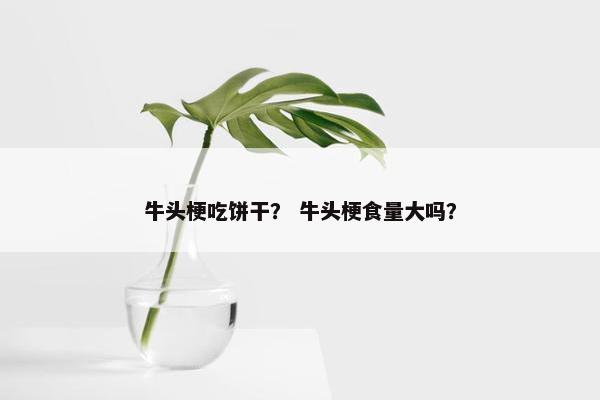 牛头梗吃饼干？ 牛头梗食量大吗？