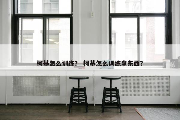 柯基怎么训练？ 柯基怎么训练拿东西？