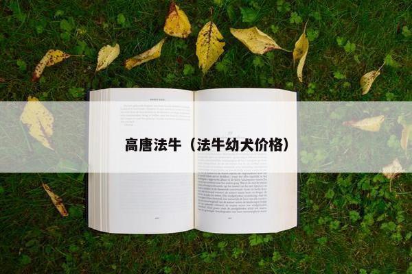 施恩