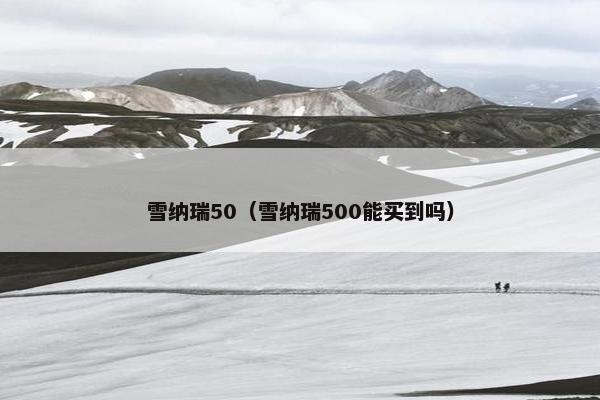 雪纳瑞50（雪纳瑞500能买到吗）