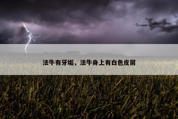 法牛有牙垢，法牛身上有白色皮屑