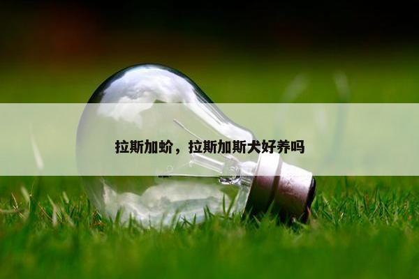 拉斯加蚧，拉斯加斯犬好养吗