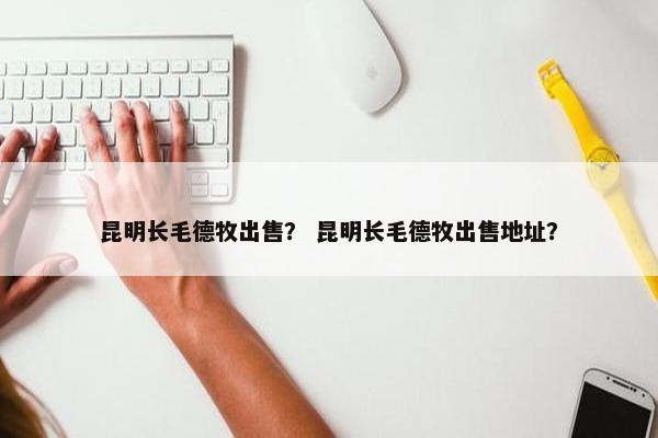 昆明长毛德牧出售？ 昆明长毛德牧出售地址？