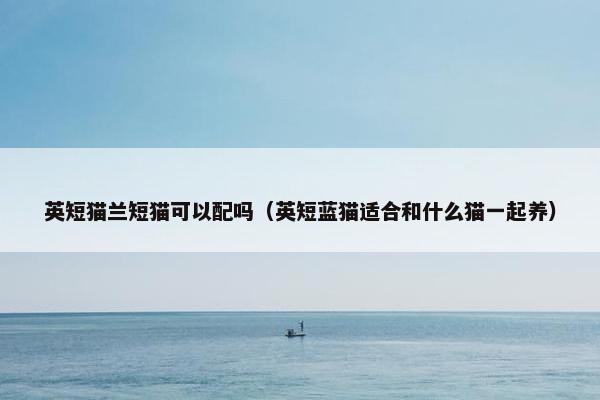 英短猫兰短猫可以配吗（英短蓝猫适合和什么猫一起养）