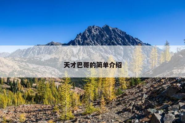 天才巴哥的简单介绍