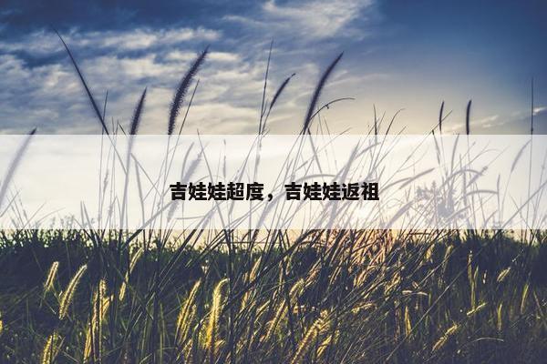 外传