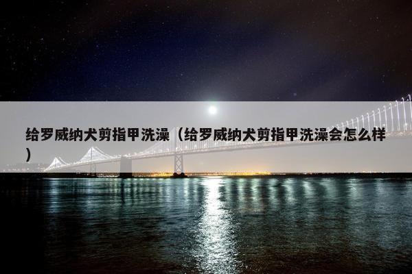 给罗威纳犬剪指甲洗澡（给罗威纳犬剪指甲洗澡会怎么样）