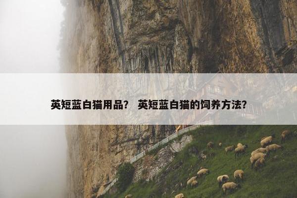 英短蓝白猫用品？ 英短蓝白猫的饲养方法？