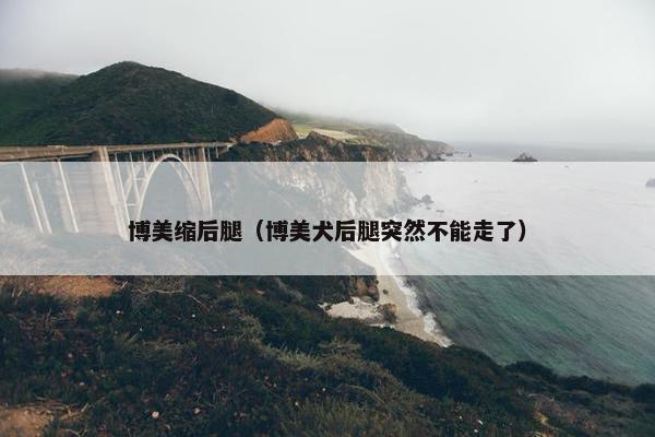 博美缩后腿（博美犬后腿突然不能走了）