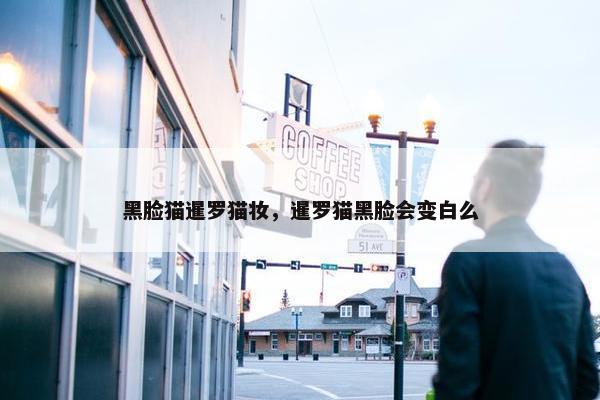 黑脸猫暹罗猫妆，暹罗猫黑脸会变白么