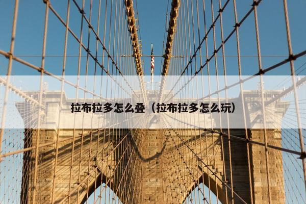 拉布拉多怎么叠（拉布拉多怎么玩）