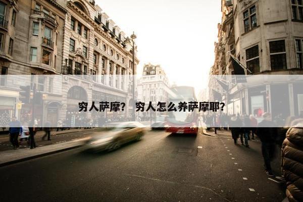 穷人萨摩？ 穷人怎么养萨摩耶？