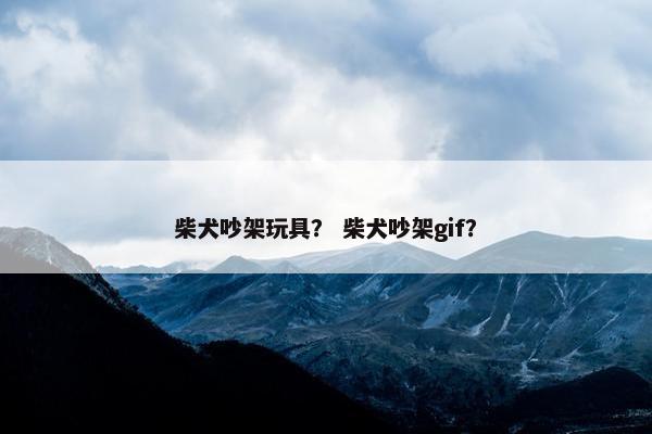 柴犬吵架玩具？ 柴犬吵架gif？