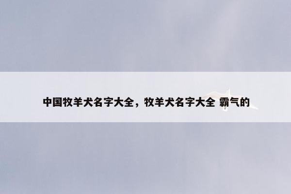 中国牧羊犬名字大全，牧羊犬名字大全 霸气的