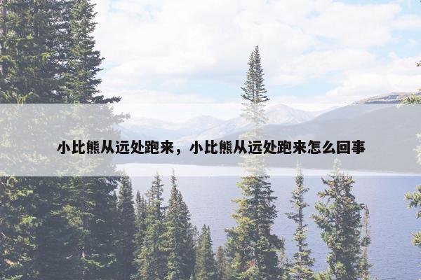 小比熊从远处跑来，小比熊从远处跑来怎么回事