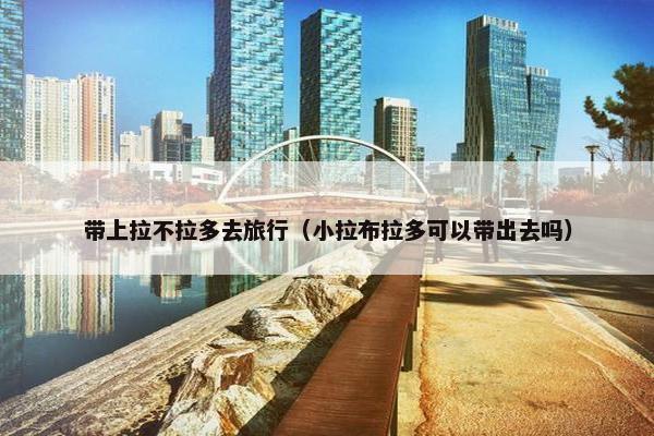 带上拉不拉多去旅行（小拉布拉多可以带出去吗）