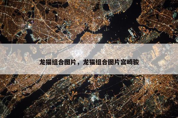 龙猫组合图片，龙猫组合图片宫崎骏
