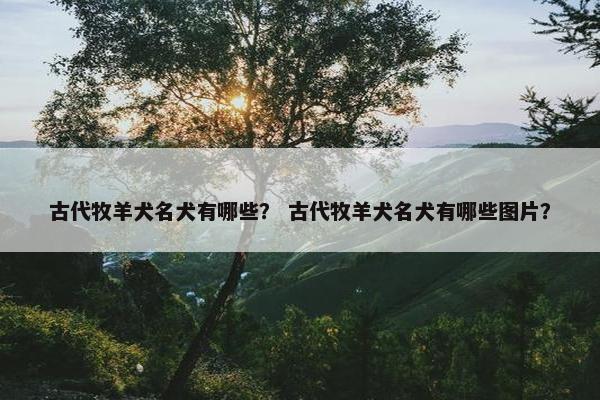 古代牧羊犬名犬有哪些？ 古代牧羊犬名犬有哪些图片？