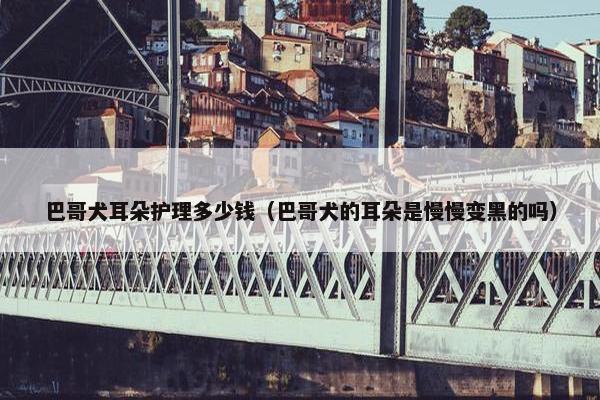 巴哥犬耳朵护理多少钱（巴哥犬的耳朵是慢慢变黑的吗）
