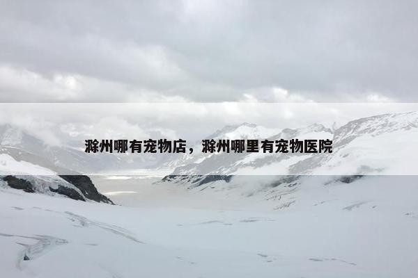 滁州哪有宠物店，滁州哪里有宠物医院