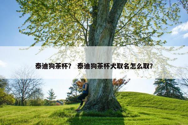 泰迪狗茶杯？ 泰迪狗茶杯犬取名怎么取？
