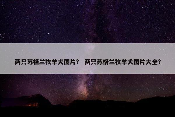 两只苏格兰牧羊犬图片？ 两只苏格兰牧羊犬图片大全？