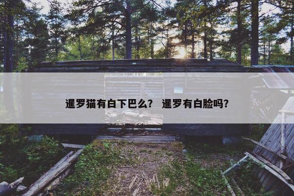 暹罗猫有白下巴么？ 暹罗有白脸吗？