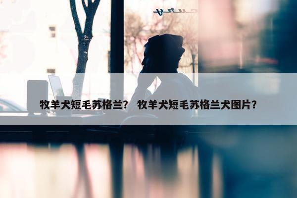 牧羊犬短毛苏格兰？ 牧羊犬短毛苏格兰犬图片？