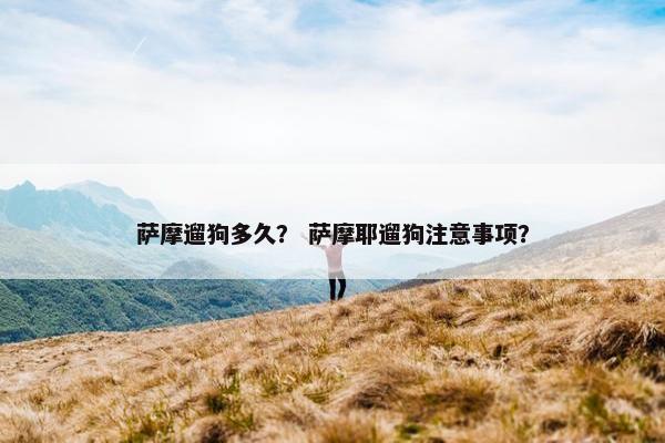 萨摩 第8页